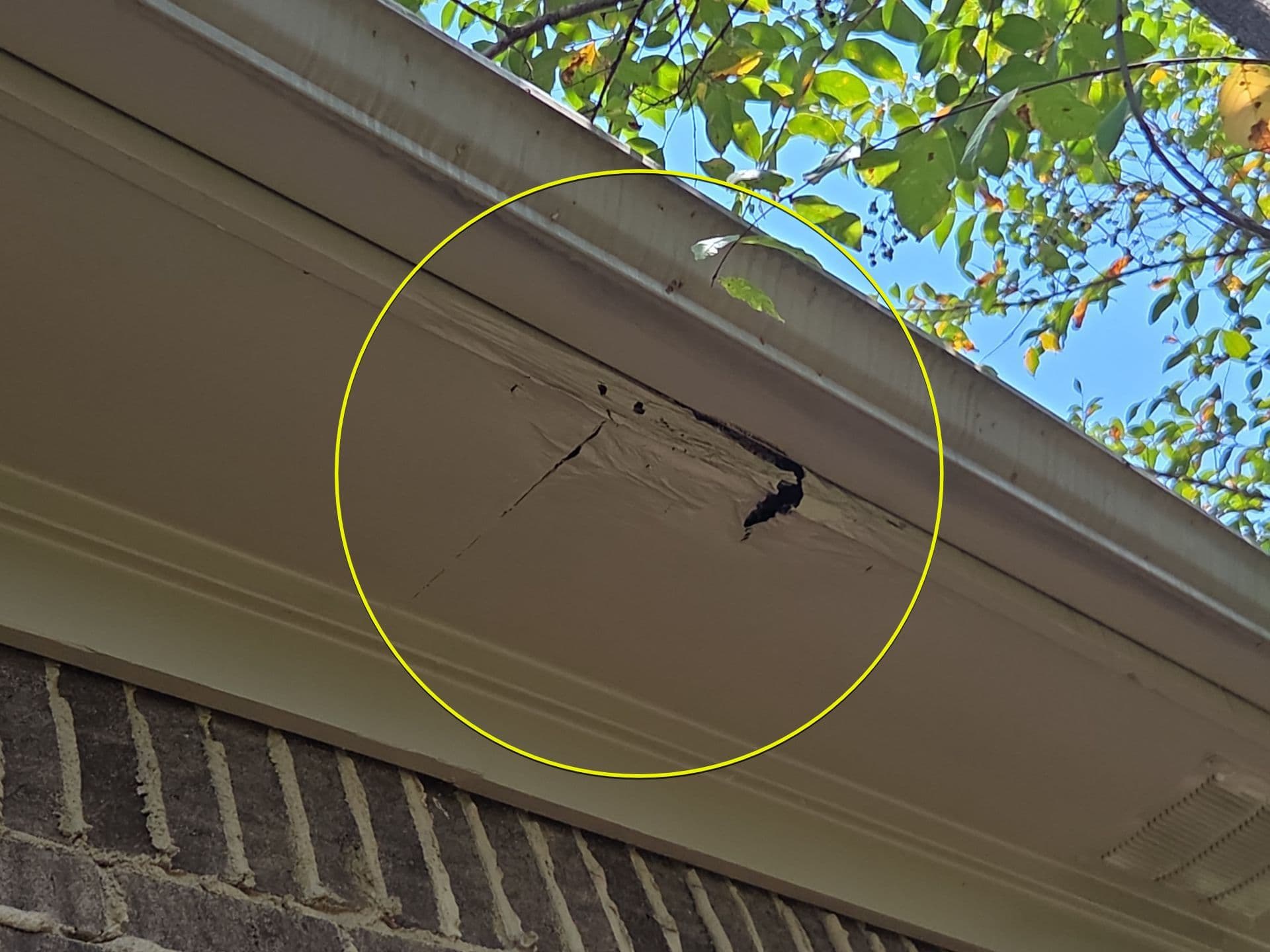 Gallery photos for That Gap Between Your Gutter and Roof Is Costing You: Image #1